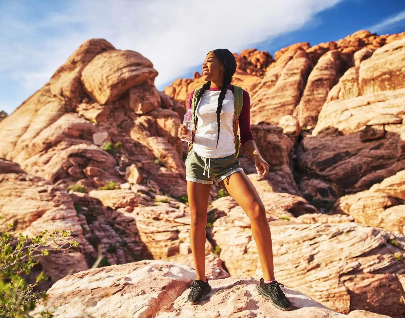 red rock canyon tour
