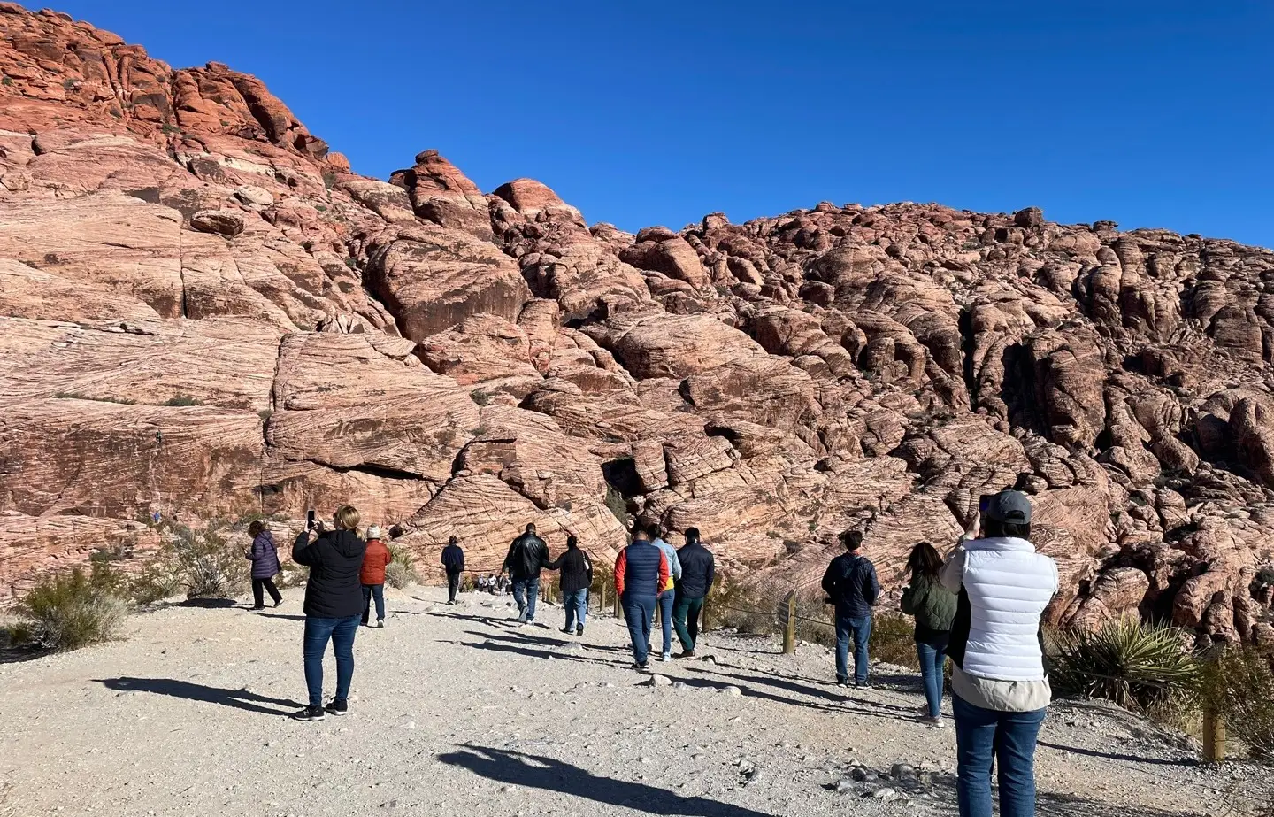 About Hello Vegas Tour – Red Rock Canyon group walking tour